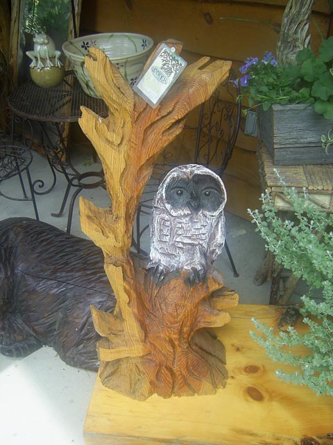 Owl Perched